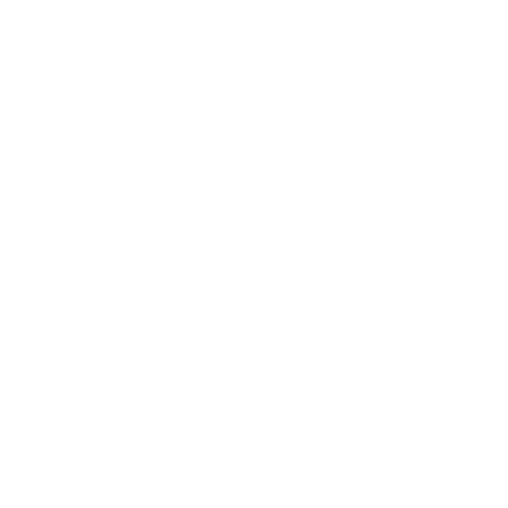 Nexora Logo
