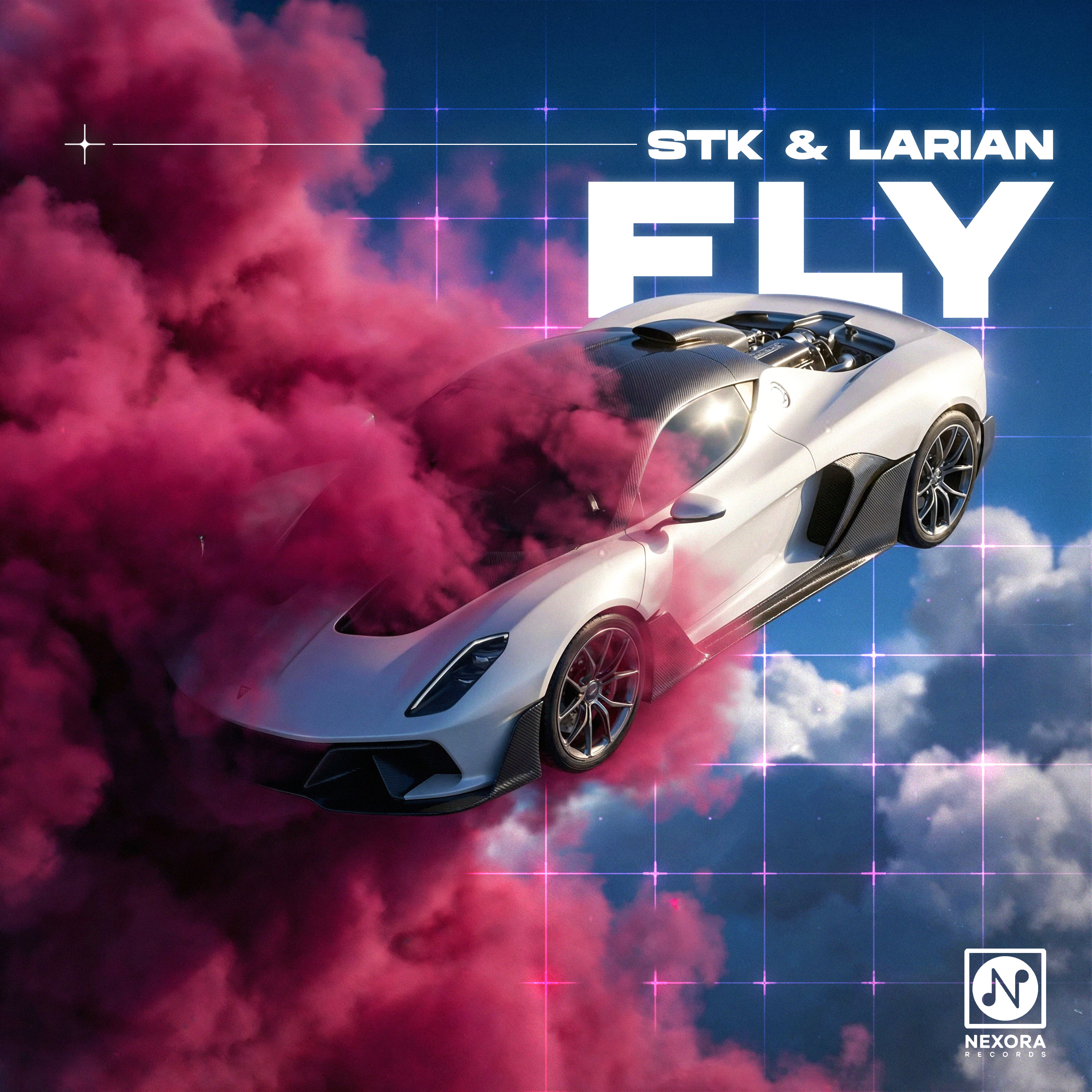 Cover of Fly